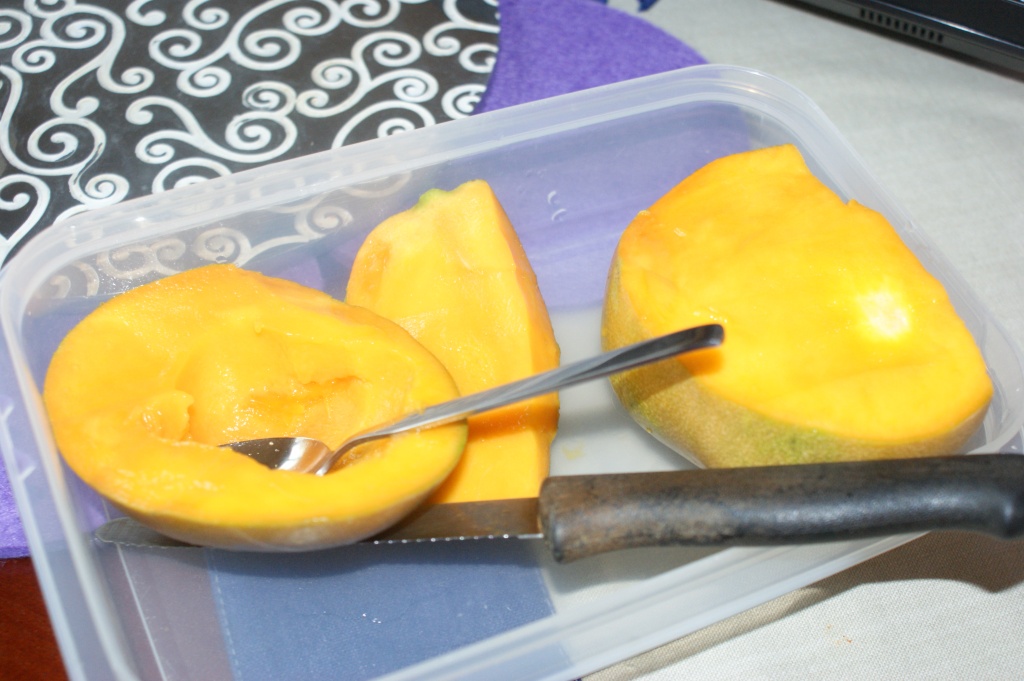 mangoey2